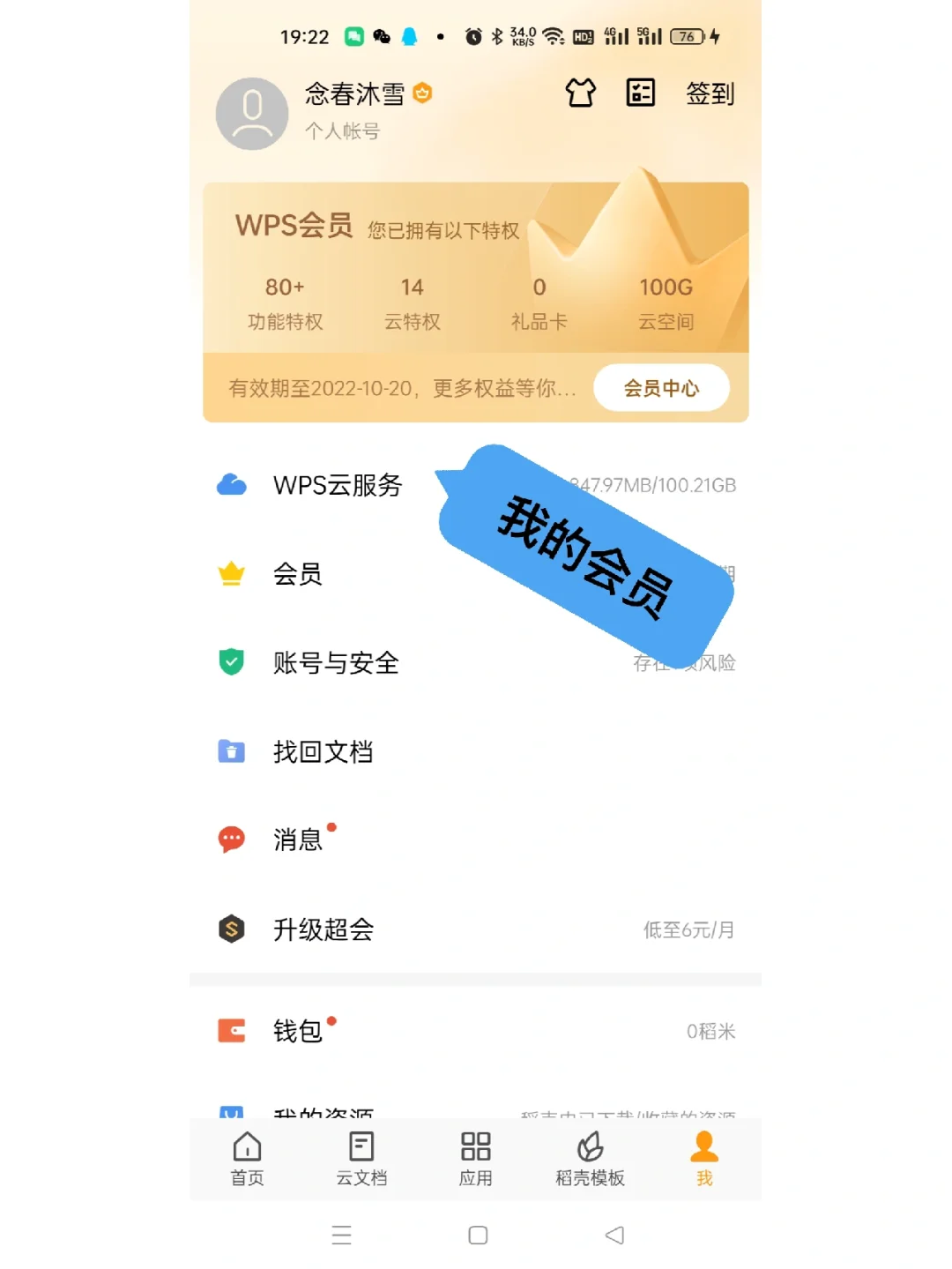 wps苹果版会员wps政府版和个人版的区别