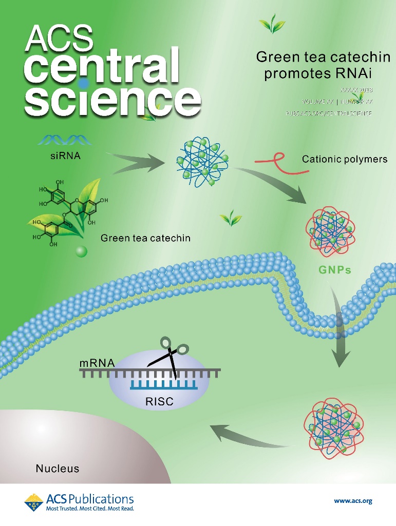 sciencedaily安卓版sciencedirect期刊官网入口