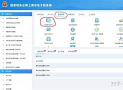 上海税务电脑客户端税务申报如何网上申报-第2张图片-太平洋在线下载