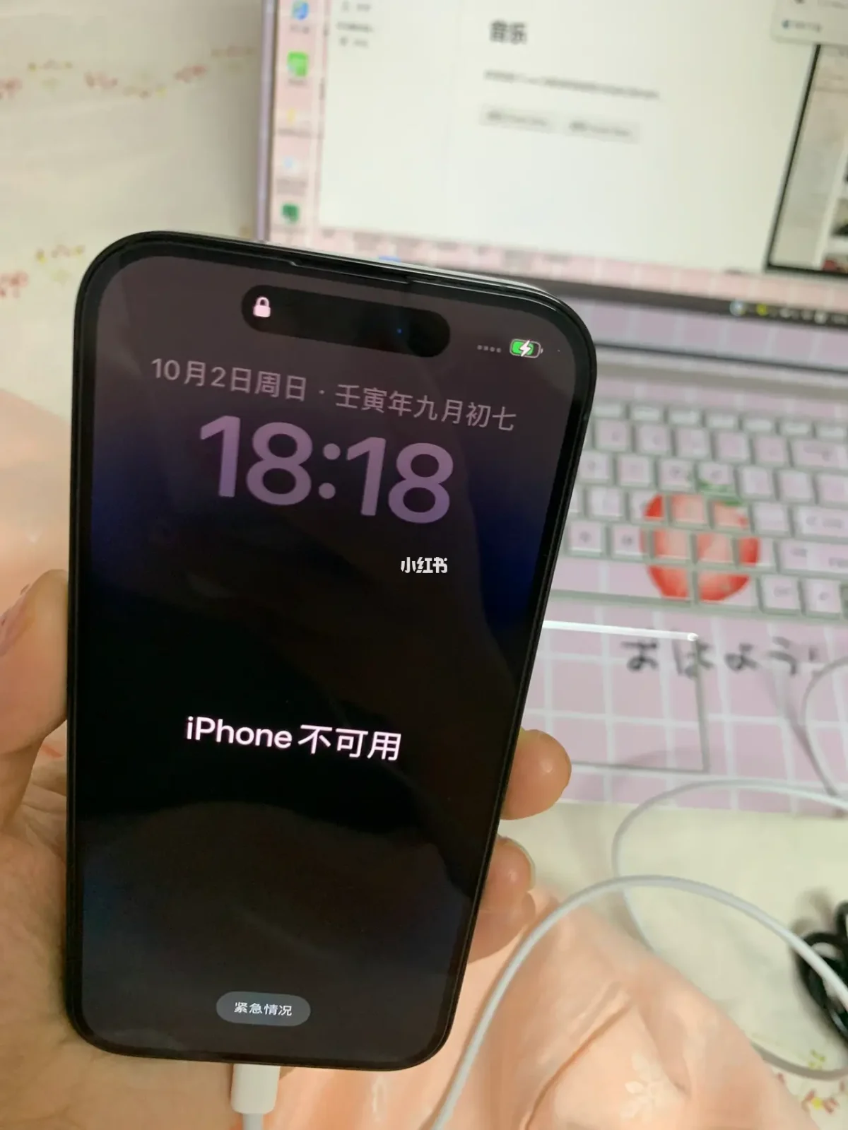 qqpro苹果版密码iphone11怎么设置锁屏密码-第2张图片-太平洋在线下载