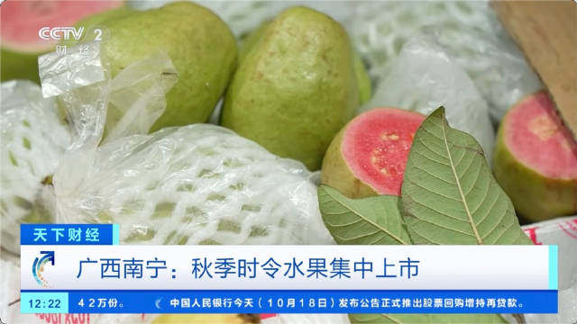 苹果平安迷你版ipadmini有面容解锁吗-第2张图片-太平洋在线下载