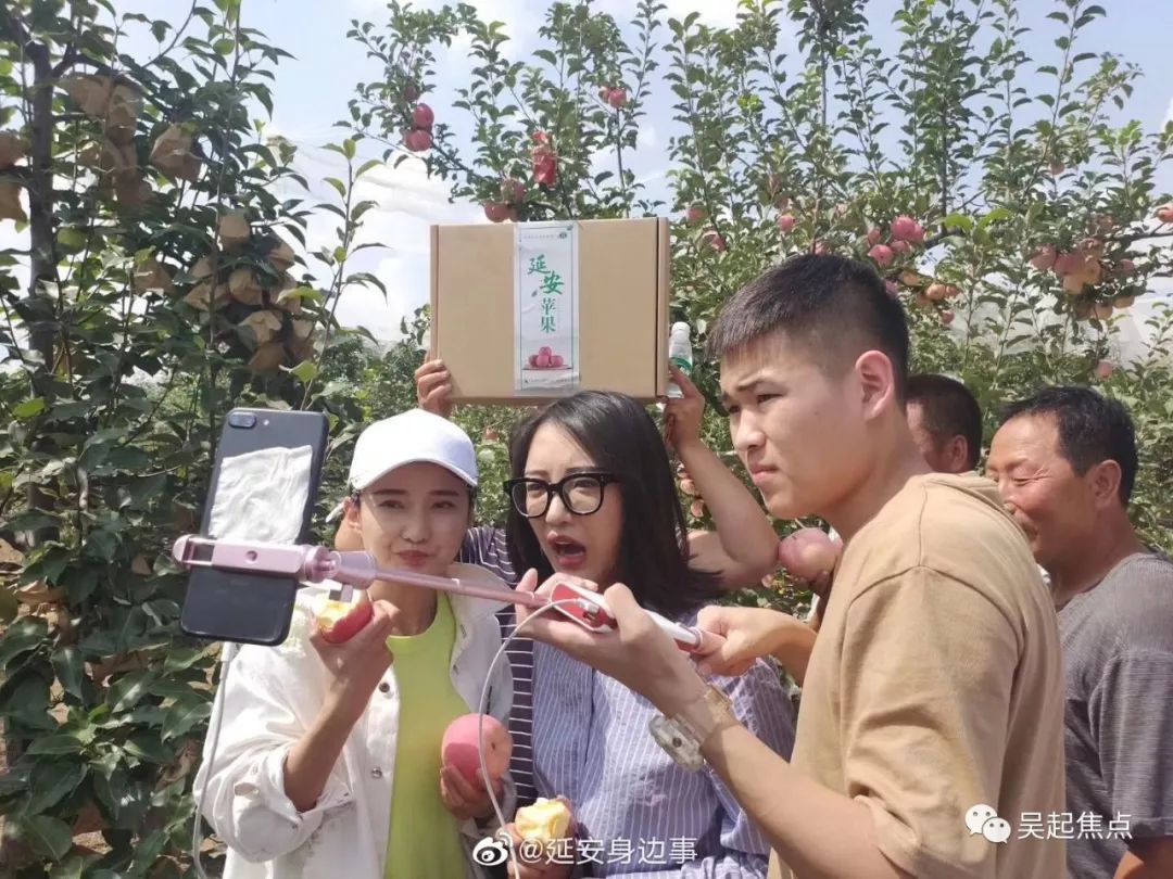 免密直播苹果版为啥苹果免密支付会扣钱-第2张图片-太平洋在线下载