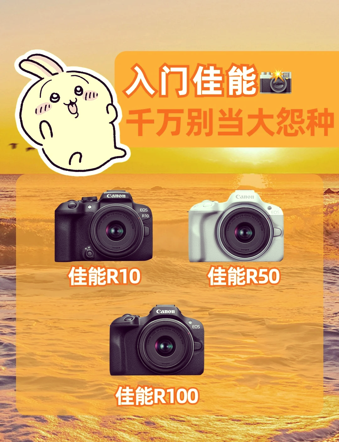 佳能app安卓版canonprint安卓版