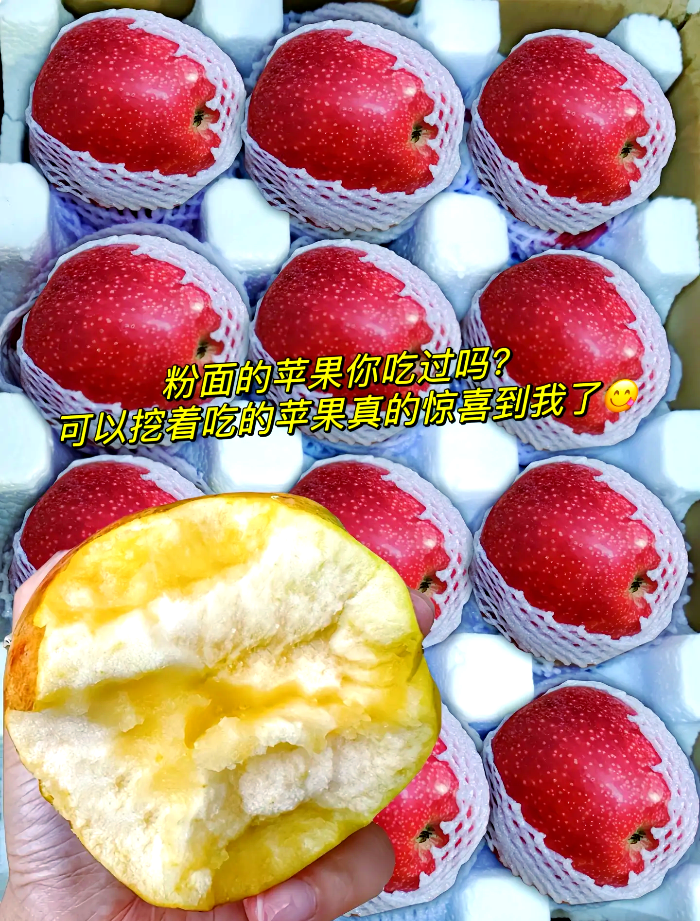 花粉儿苹果版花粉儿官方网站-第2张图片-太平洋在线下载