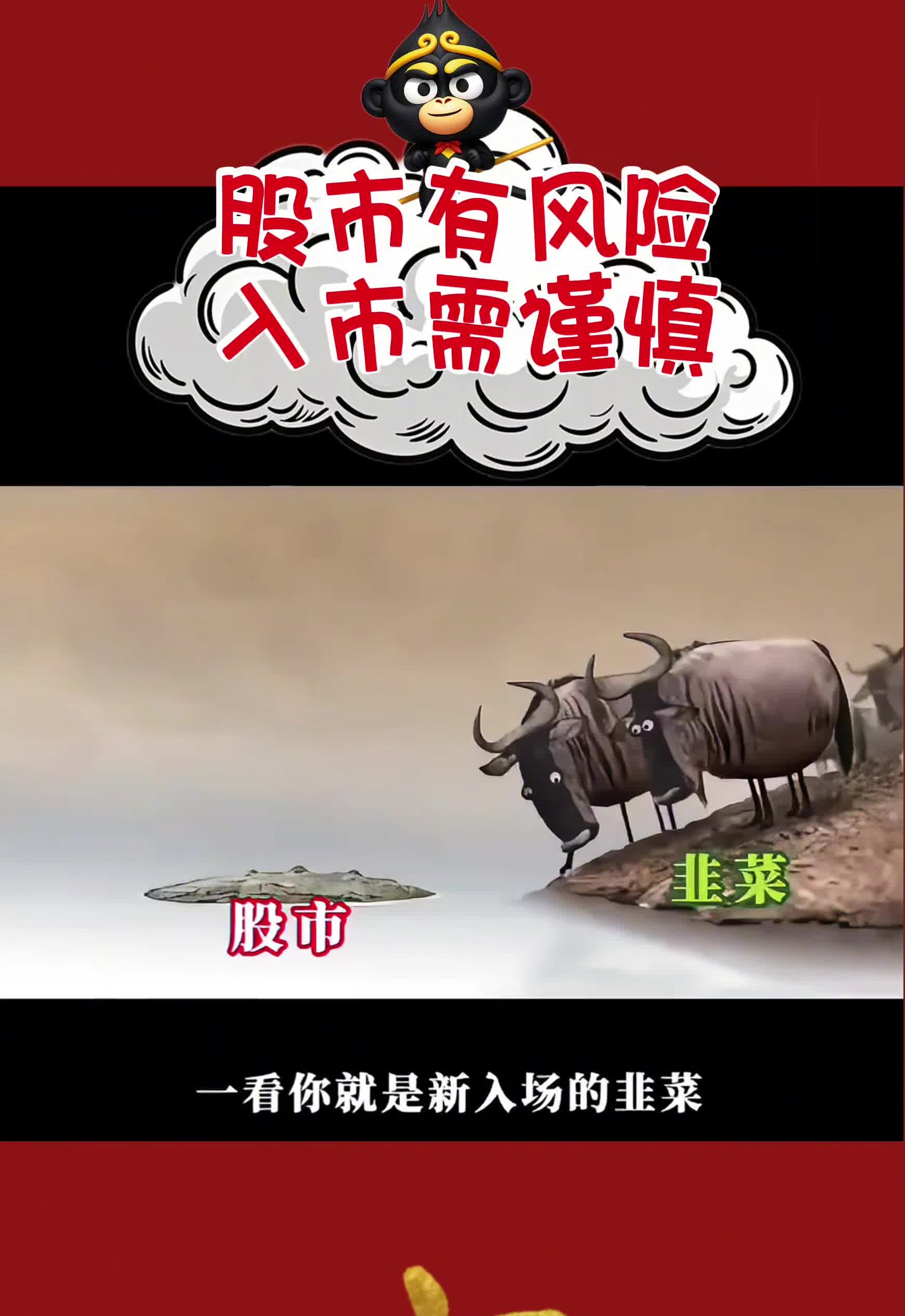 下载股市手机版淘气天尊板板聊股市直播室手机版
